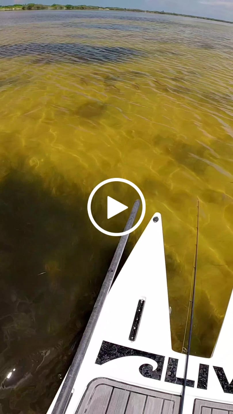 Customer video review of Evict II Reel