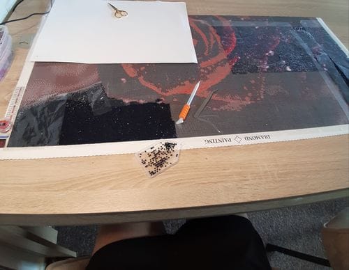 Customer photo review of Diamond Painting Storage Box