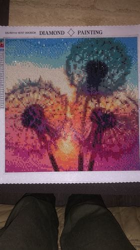 Customer photo review of Dandelions on the lakeshore | Diamond Painting Kit