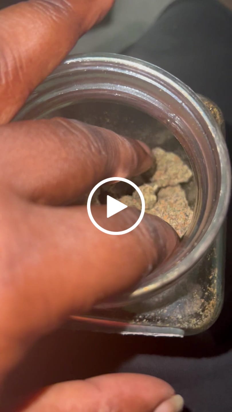 Customer video review of Value Indoor Smalls