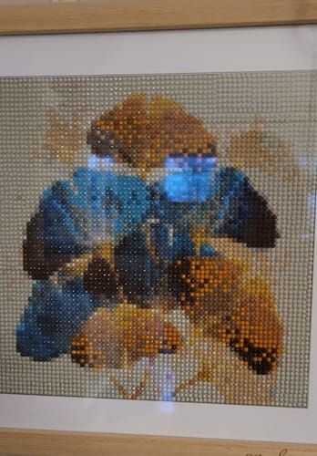 Customer photo review of Abstract Ginkgo and Monstera Bouquet | Diamond Painting Kit