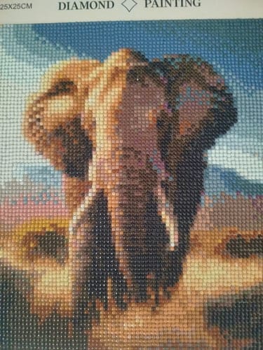 Customer photo review of Goldenretriver reflection | Diamond Painting Kit