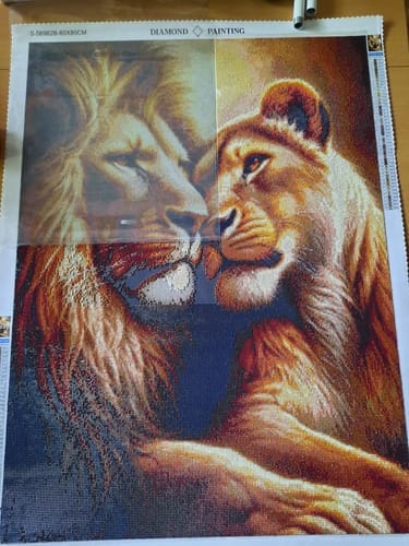 Customer photo review of Cuddling lion couple | Diamond Painting Kit