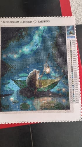 Customer photo review of Hedgehog in a boat | Diamond Painting Kit