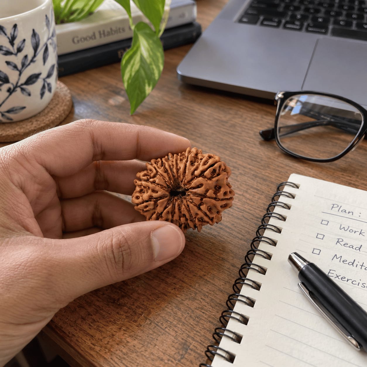 Customer photo review of 13 Mukhi Rudraksha (Nepali)