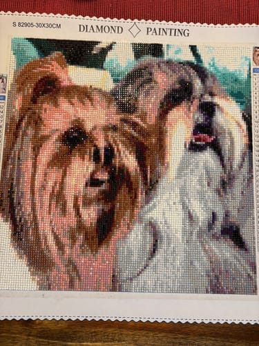 Customer photo review of Your Photo | Custom Photo Diamond Painting Kit