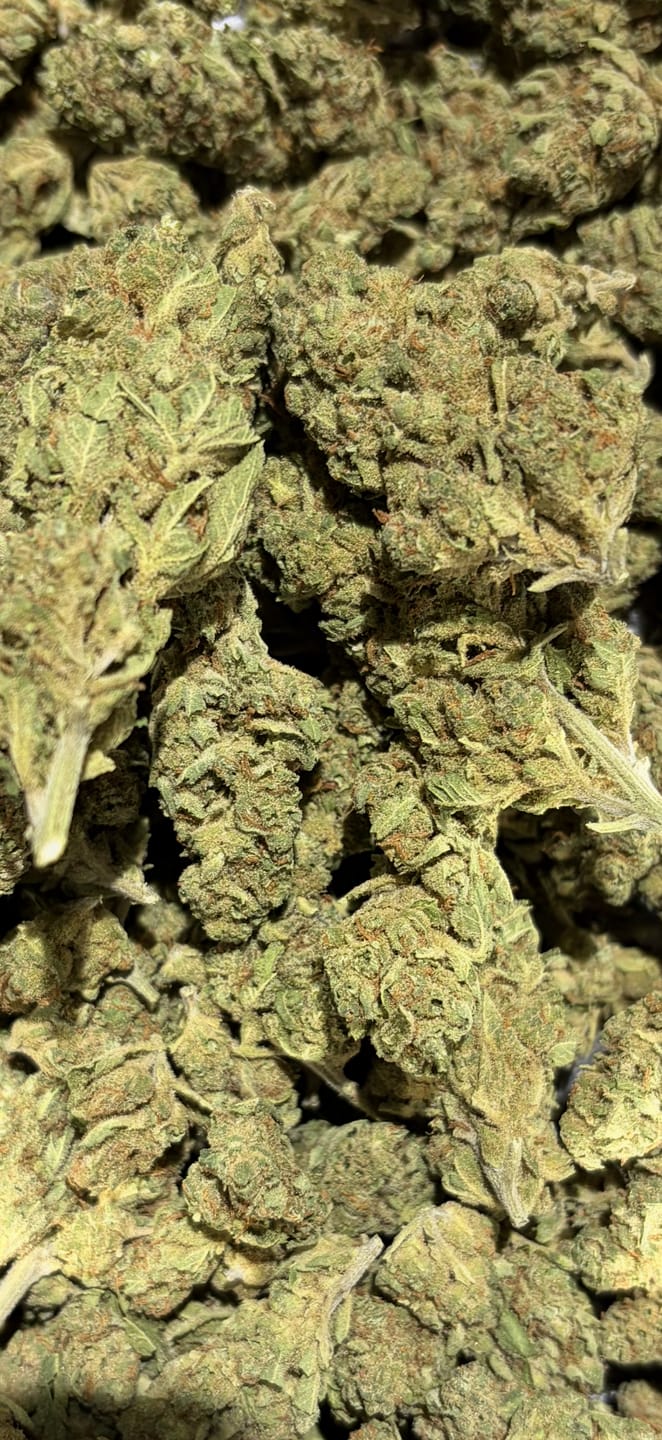Customer photo review of Cheap THCA Flower Pound (450g)