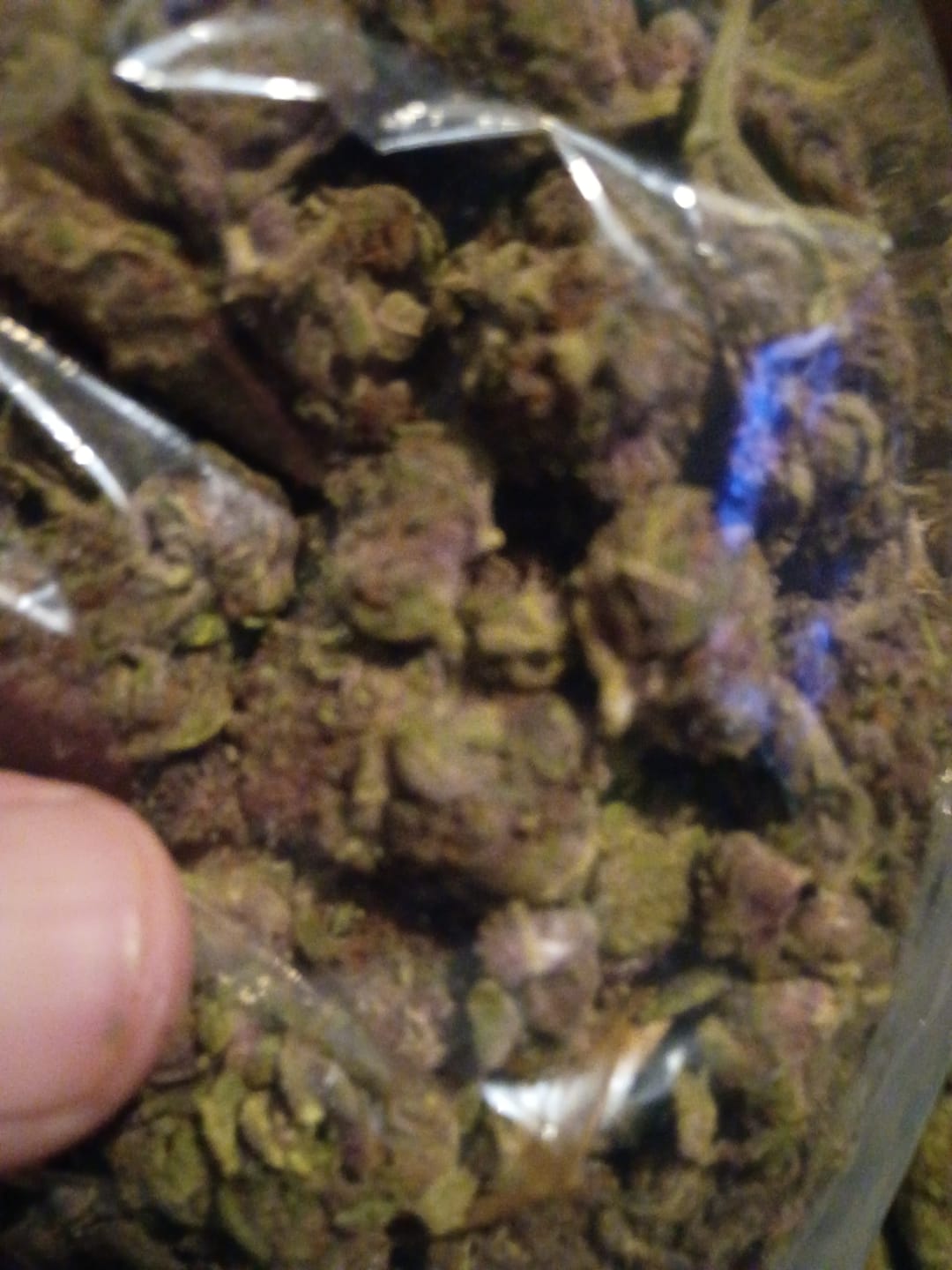 Customer photo review of Tropicana Cherry THCA Flower