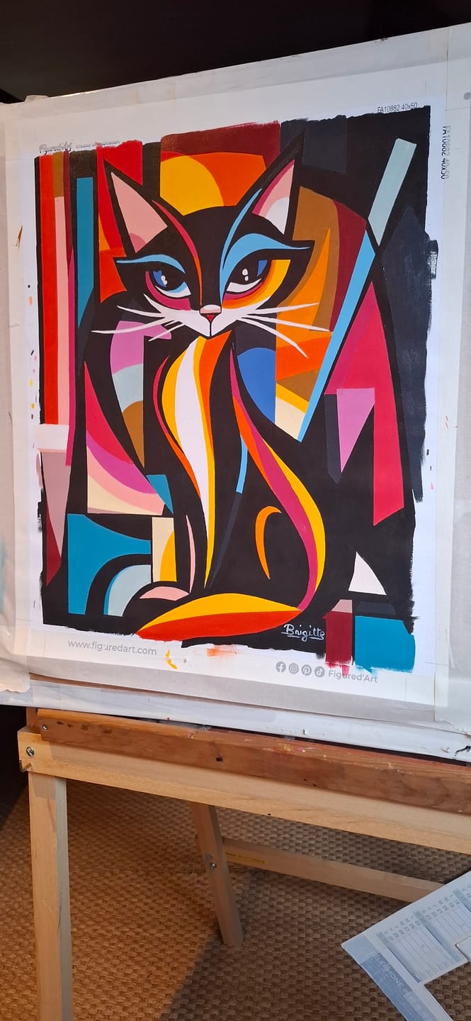 Customer photo review of Chat Abstrait Éclatant