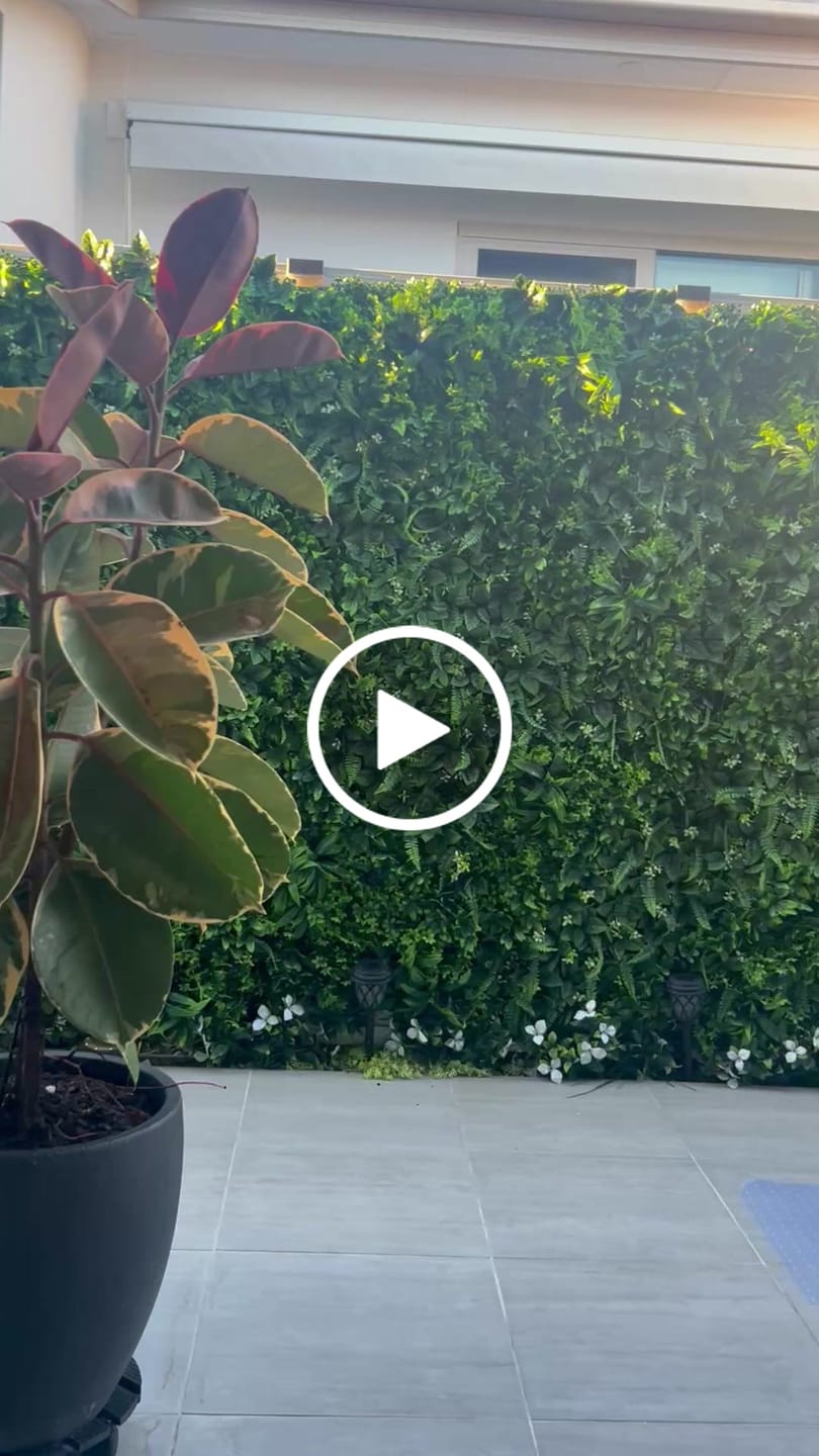 Customer video review of Luxury Flowering White Jasmine Vertical Garden Green Wall Panel 1m x 1m – SGS UV Resistant