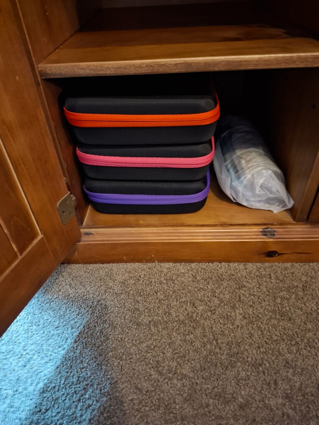 Customer photo review of Storage Bag with 60 Bottles
