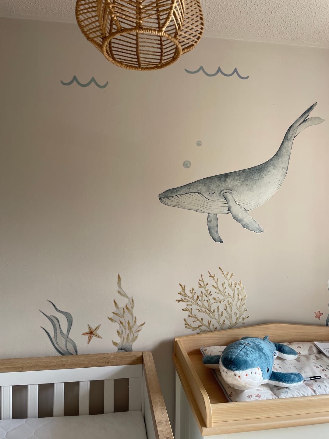 Customer photo review of Whale Plushie