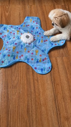 Customer photo review of Pawzzle™ Interactive Dog Toy