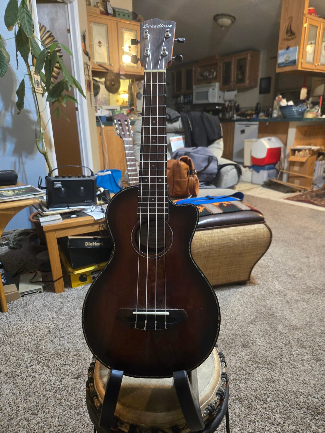 Customer photo review of BunnyNest: Folding A-Frame Guitar & String Instrument Stand