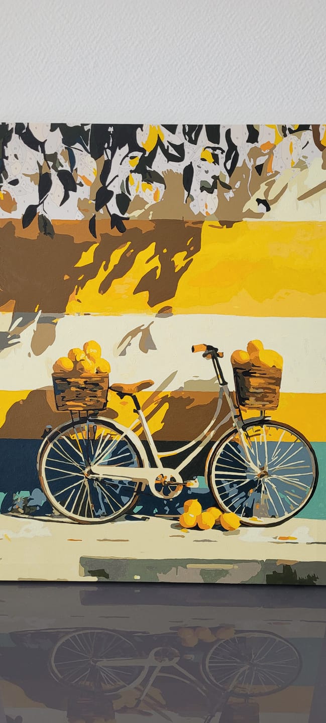 Customer photo review of Summer Ride | Paint by Number