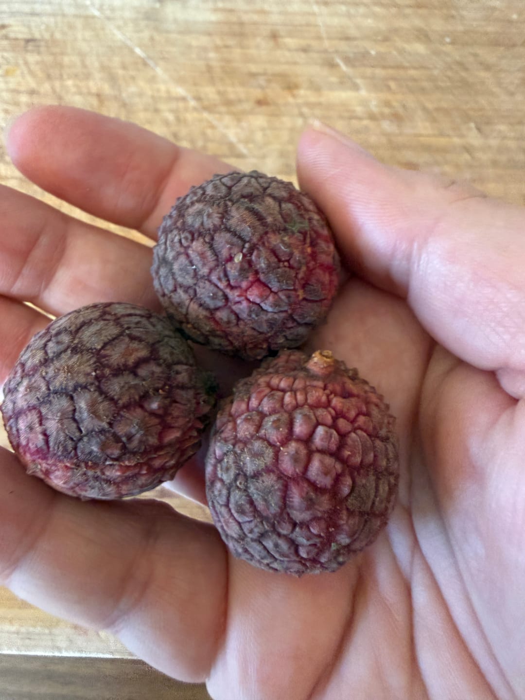 Customer photo review of Litschi (Lychee) Bio von Julian