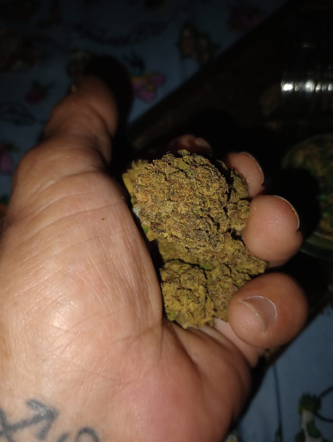 Customer photo review of Papaya Bomb Light Assist THCA