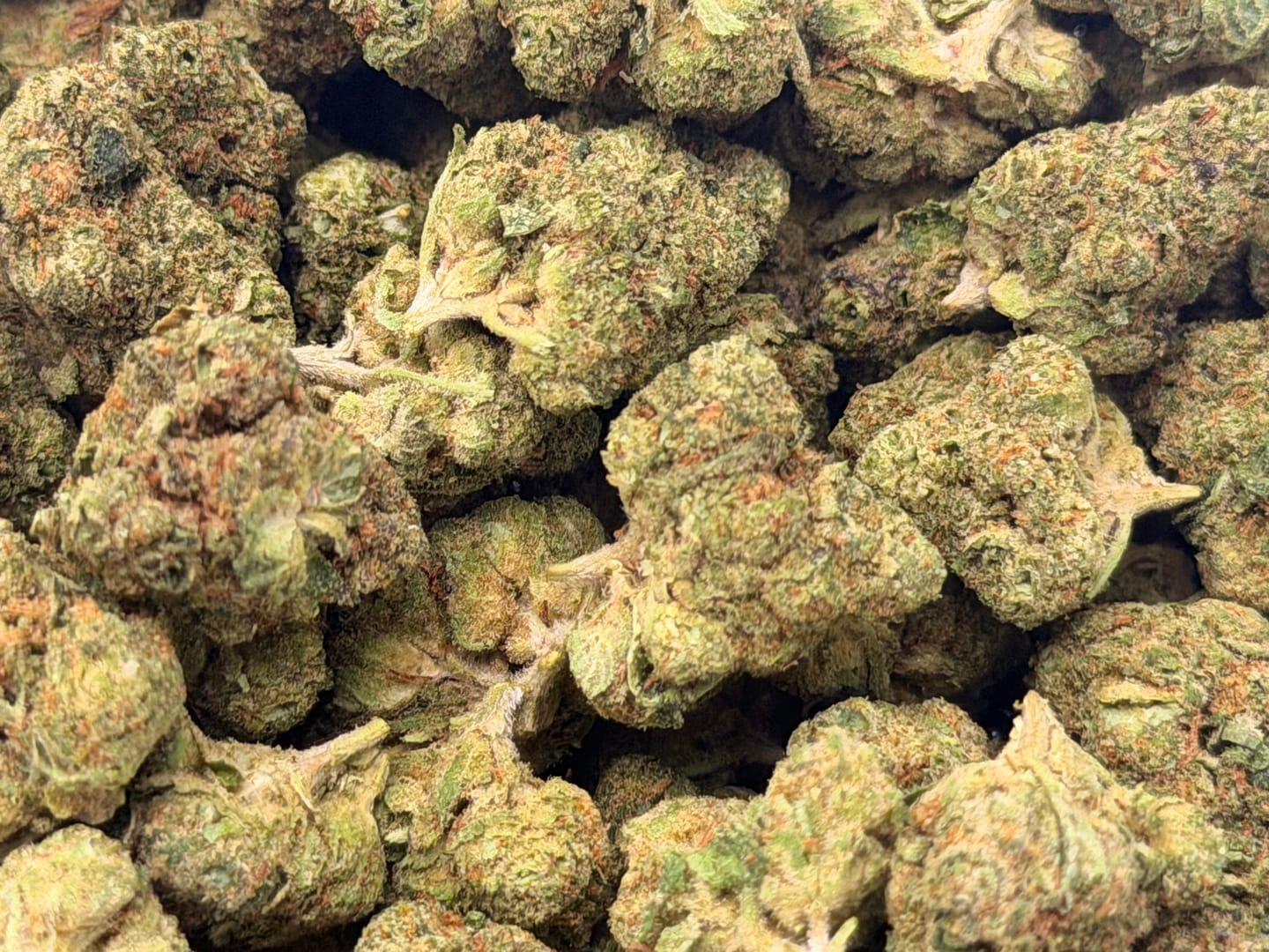 Customer photo review of Apple Banana Mediums - Bulk Mediums - Hybrid