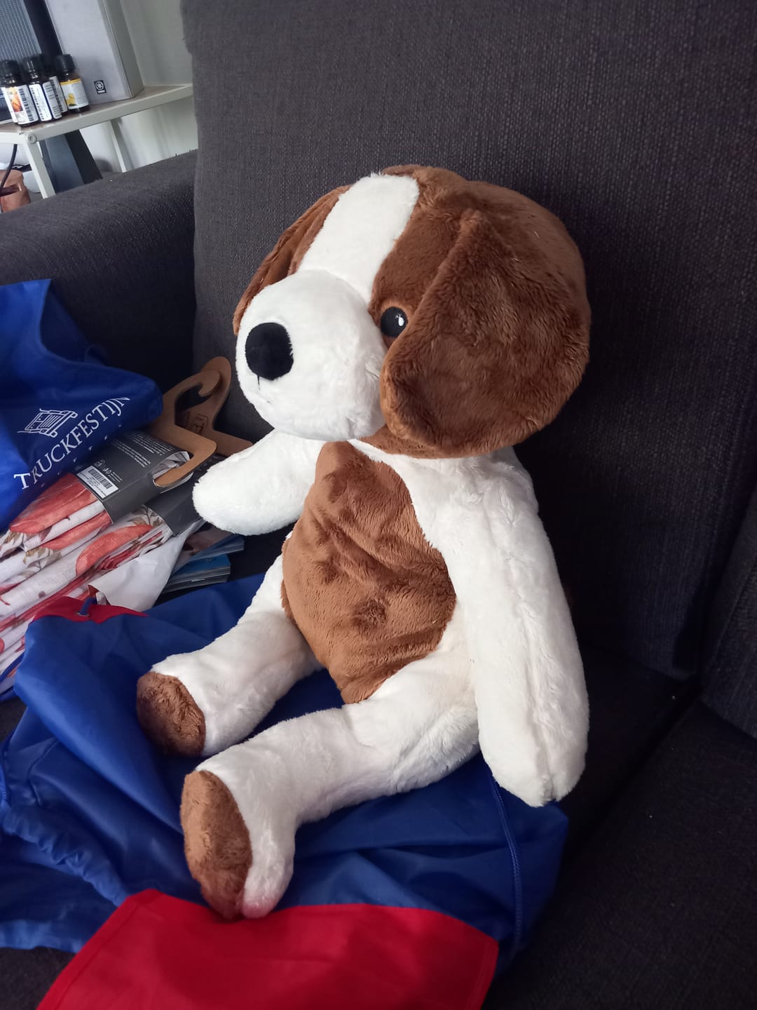 Customer photo review of Lotgenootje Hond 2kg