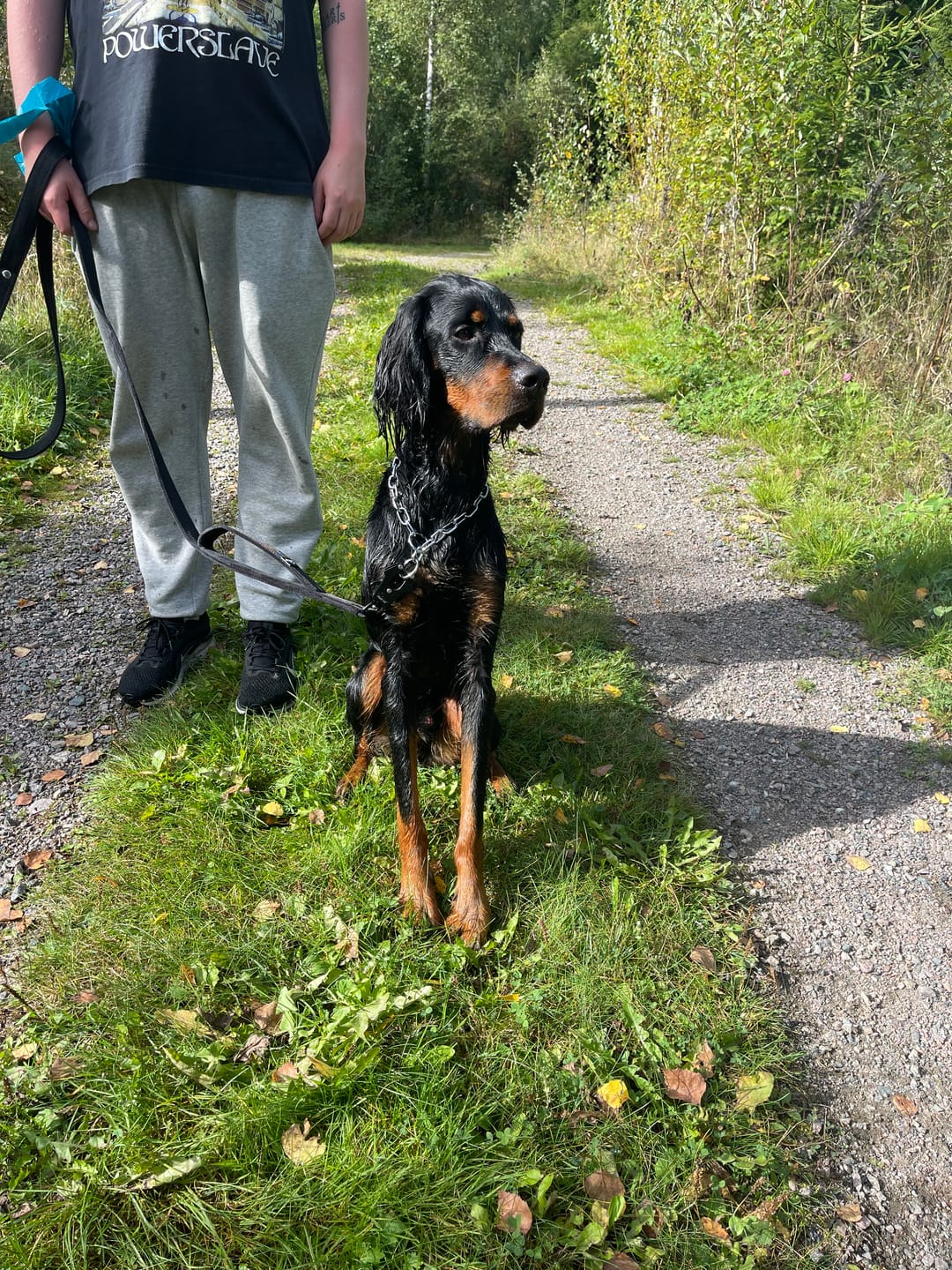 Customer photo review of Guard Leash Svart - Väktarkoppel med extra handtag