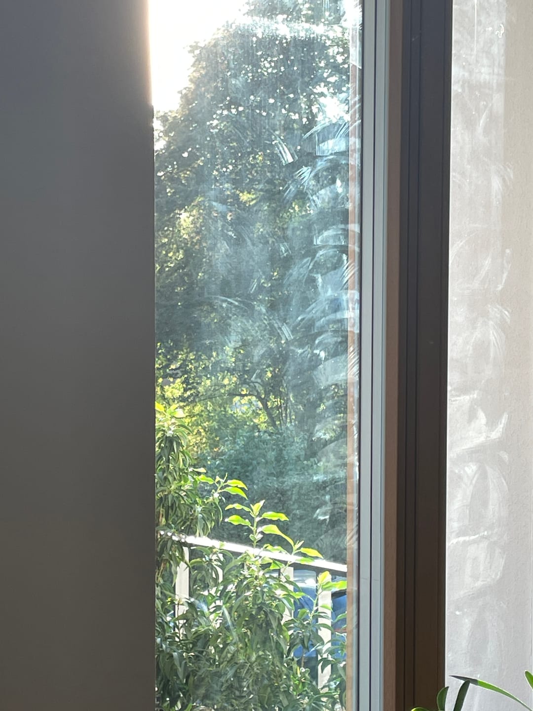 Customer photo review of HUTT 10 Premium