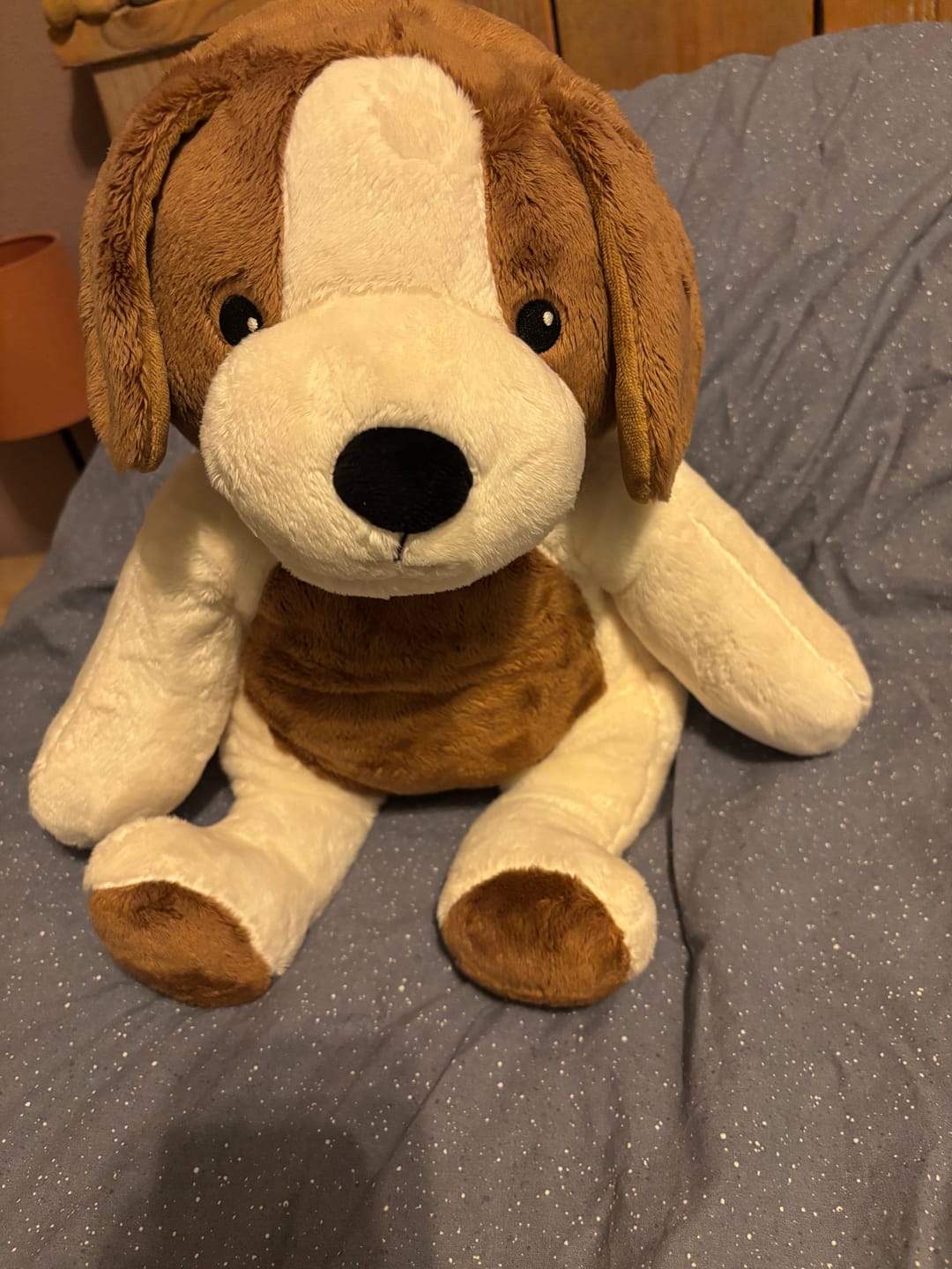 Customer photo review of Lotgenootje Hond 2kg