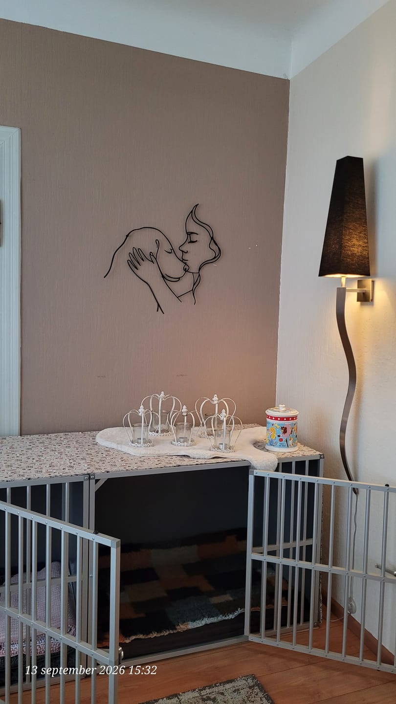 Customer photo review of Décoration Murale Métal - Amoureux des chiens (V.03)