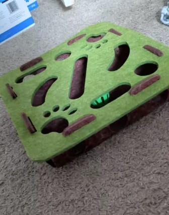 Customer photo review of Pawvly ™ - Cat Puzzle Box