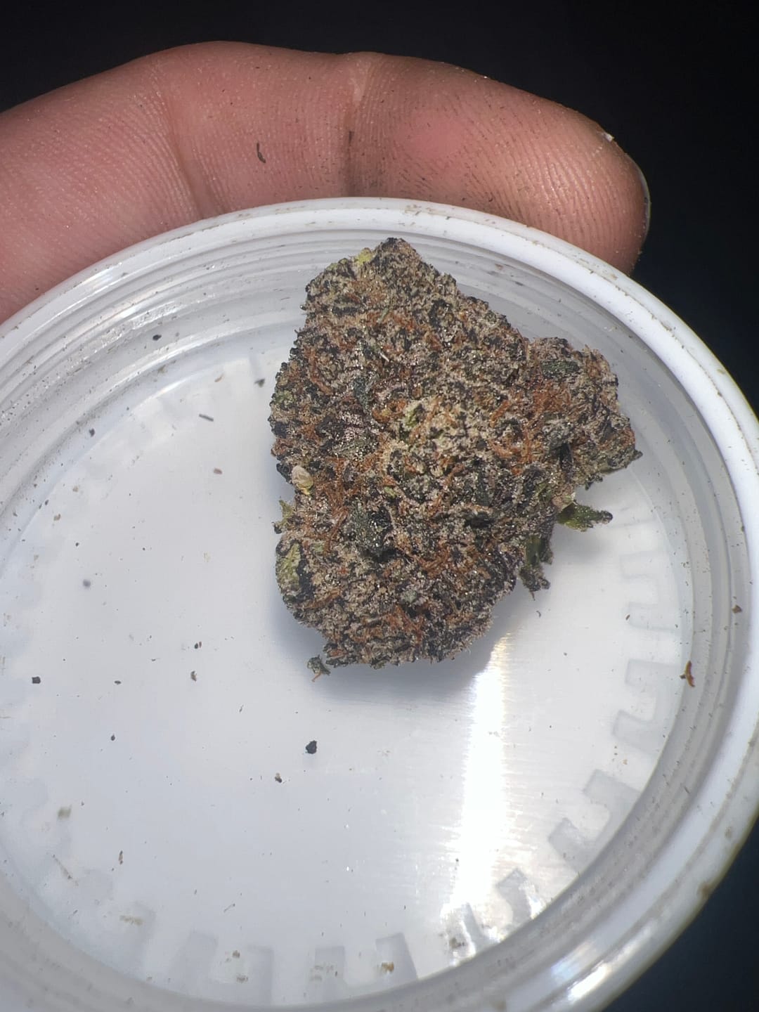 Customer photo review of Cheap Indoor THCA Flower Ounce