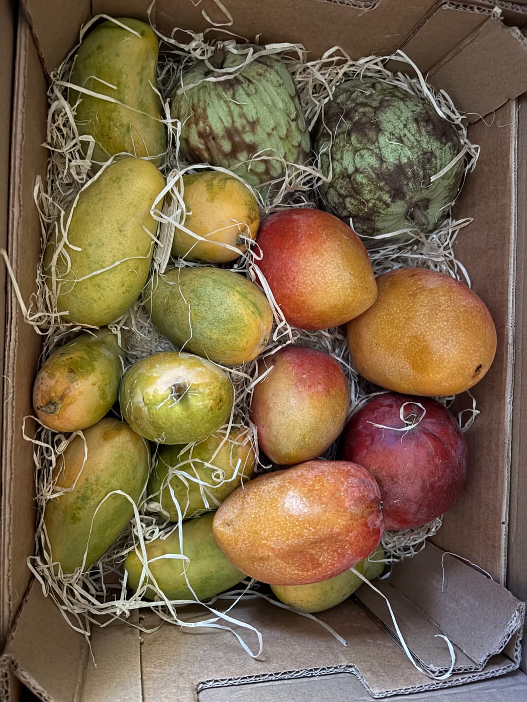 Customer photo review of Mango Irwin Bio von Jaime Aktionspreis %