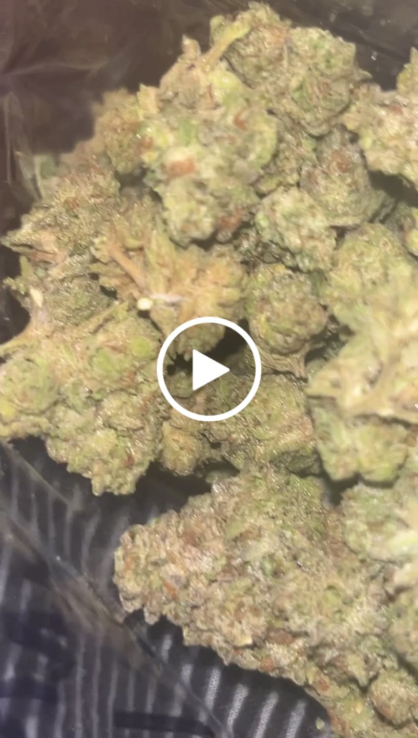 Customer video review of Light Assist THCA Smalls