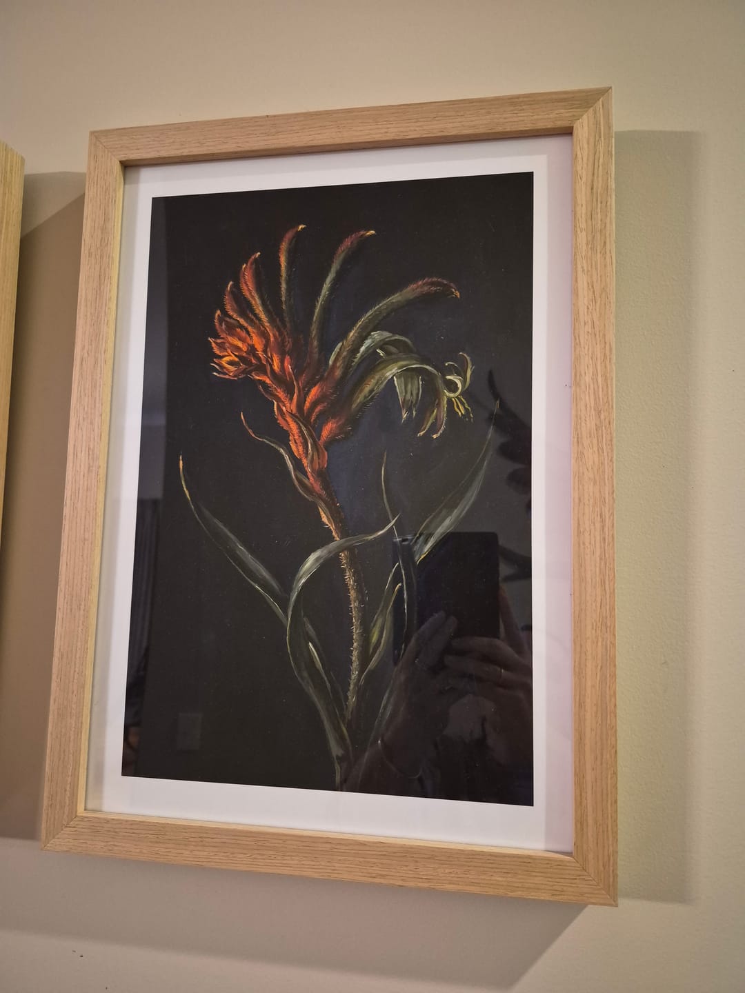 Customer photo review of Kangaroo Paw II On Navy Botanicals Study | Art Print