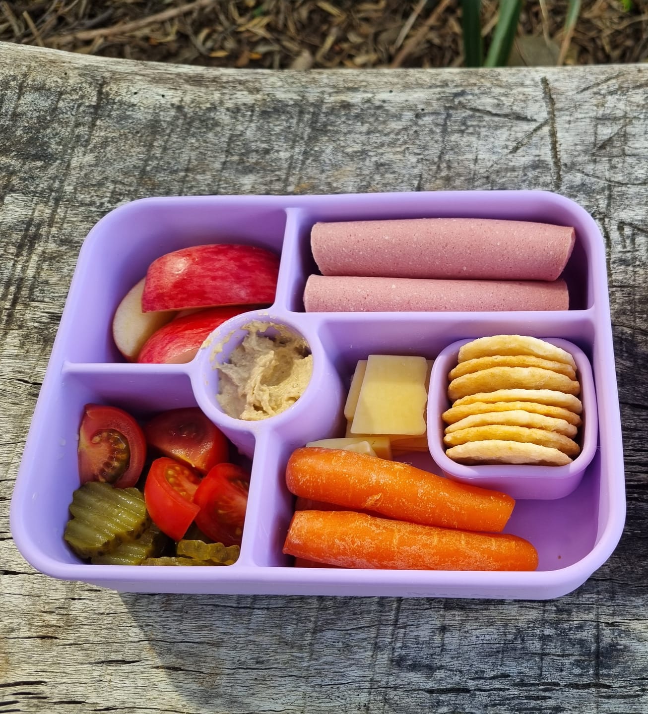 Customer photo review of Big Bento