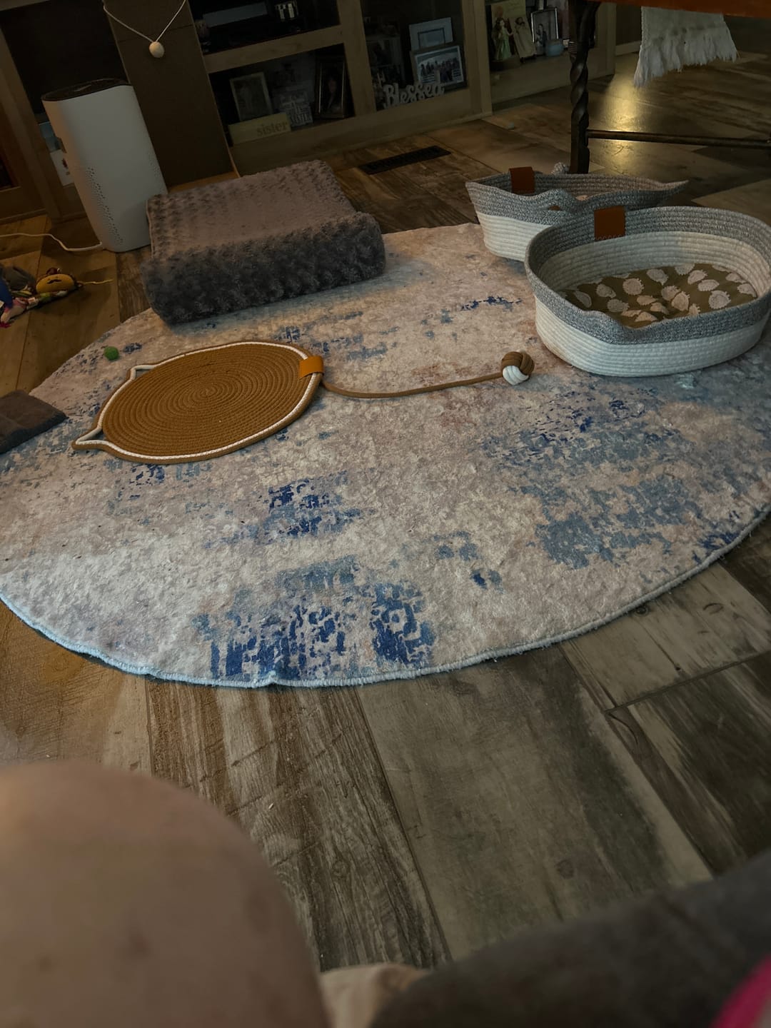 Customer photo review of Instinct Mat | The Scratching Mat Her Biology Actually Recognizes (NEW)