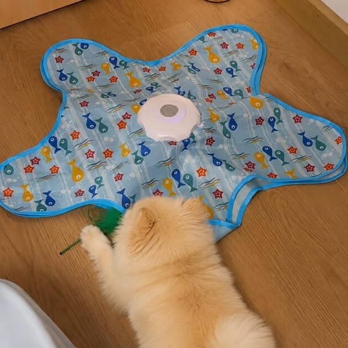 Customer photo review of Pawzzle™ Interactive Dog Toy