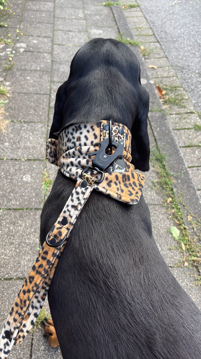 Customer photo review of Bandana Collar Leopard - Halsband med bandana