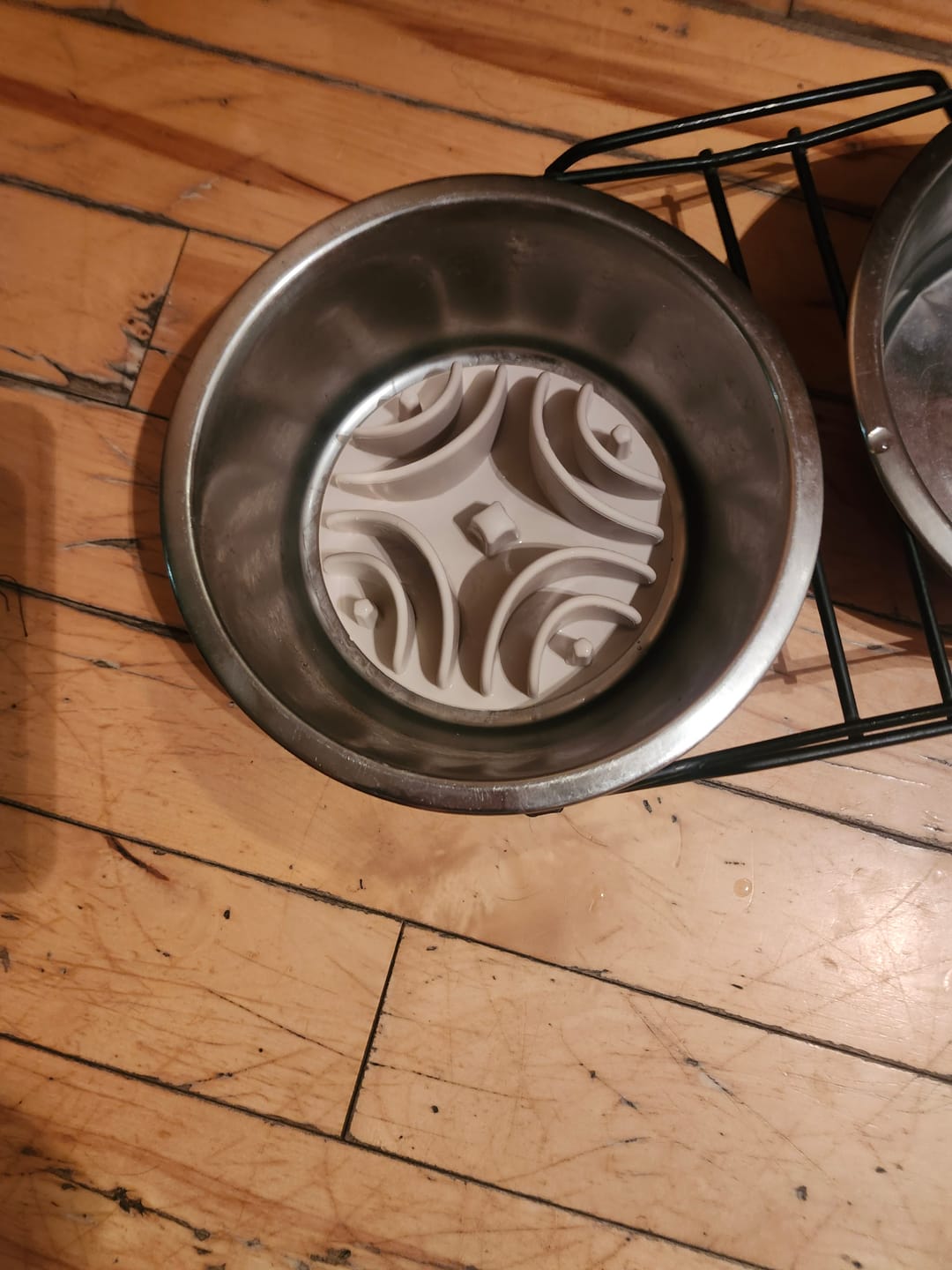 Customer photo review of Livora - Bol ralentisseur pour chien
