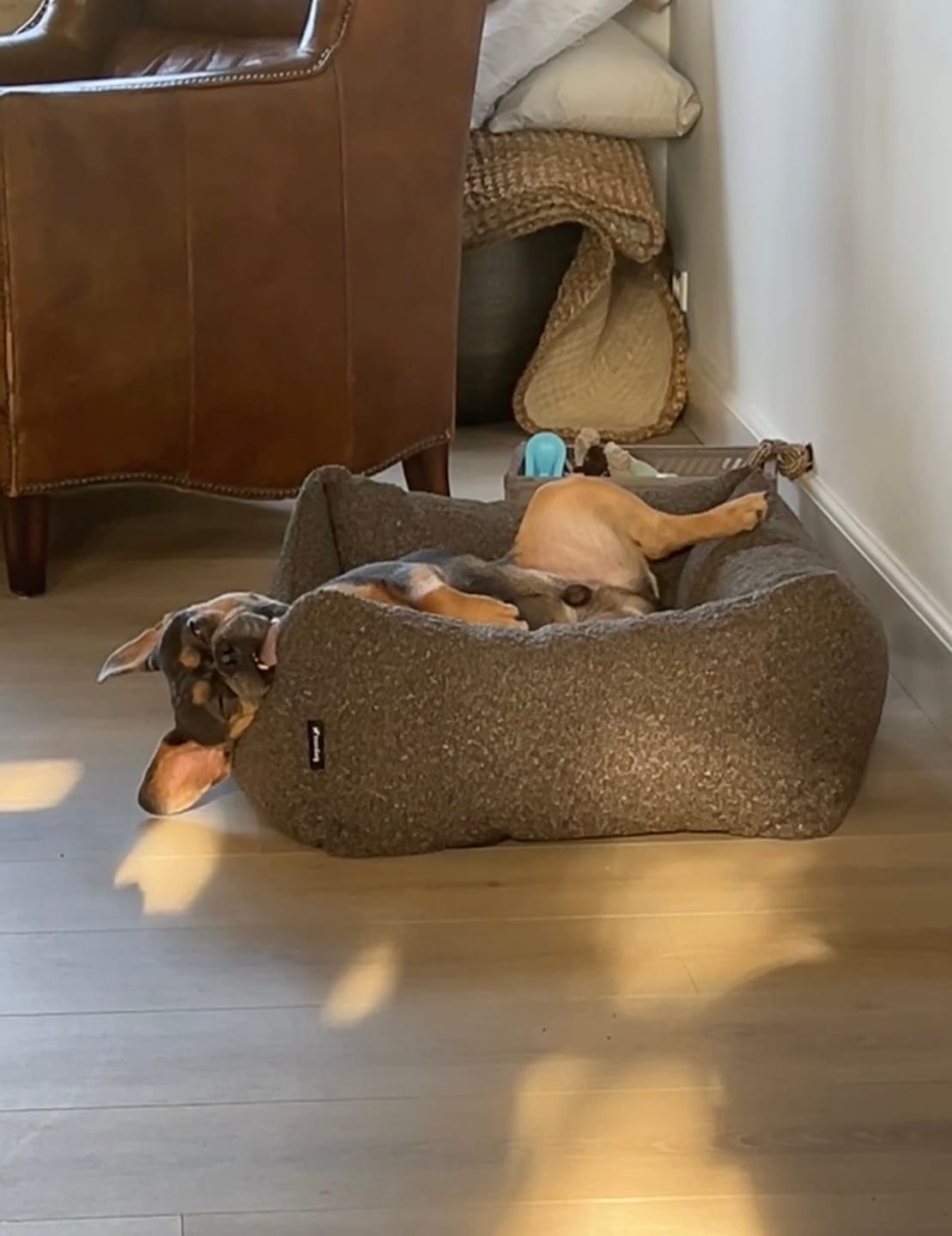Customer photo review of BILLY Bouclé hundeseng (mocca)