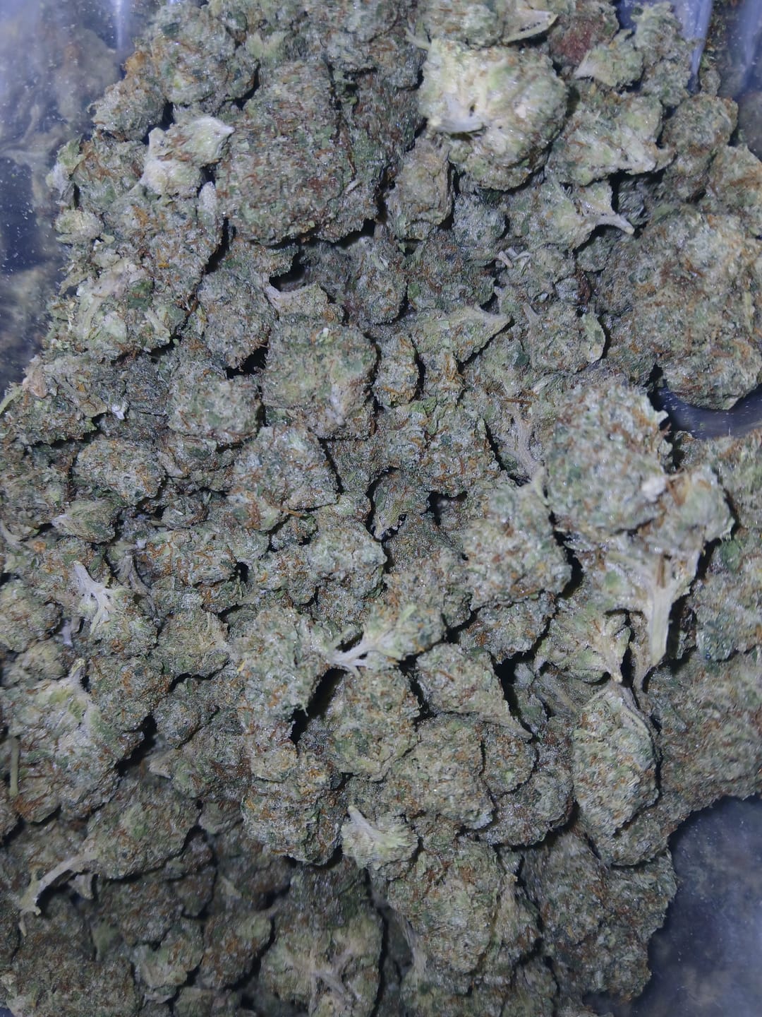 Customer photo review of White Rhino THCA Flower