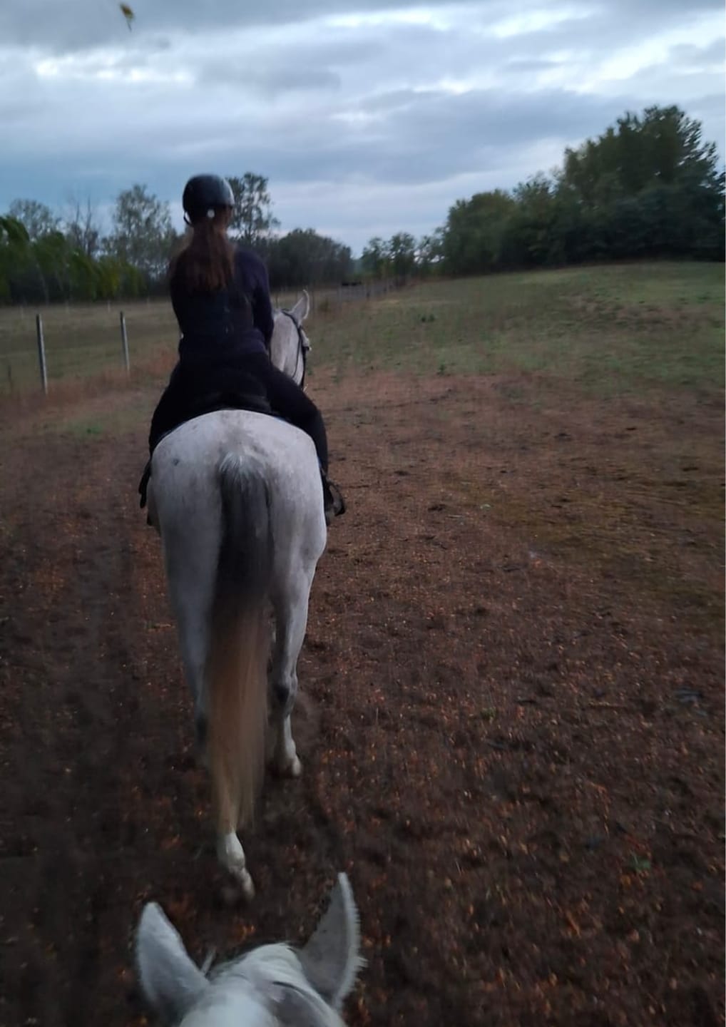 Customer photo review of Cámara deportiva para equitación