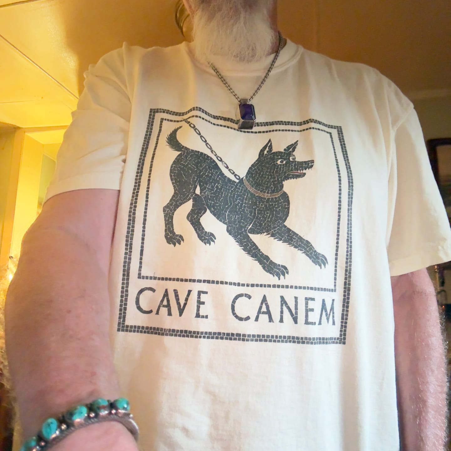 Customer photo review of Cave Canem Pompeii Mosaic Premium Tee