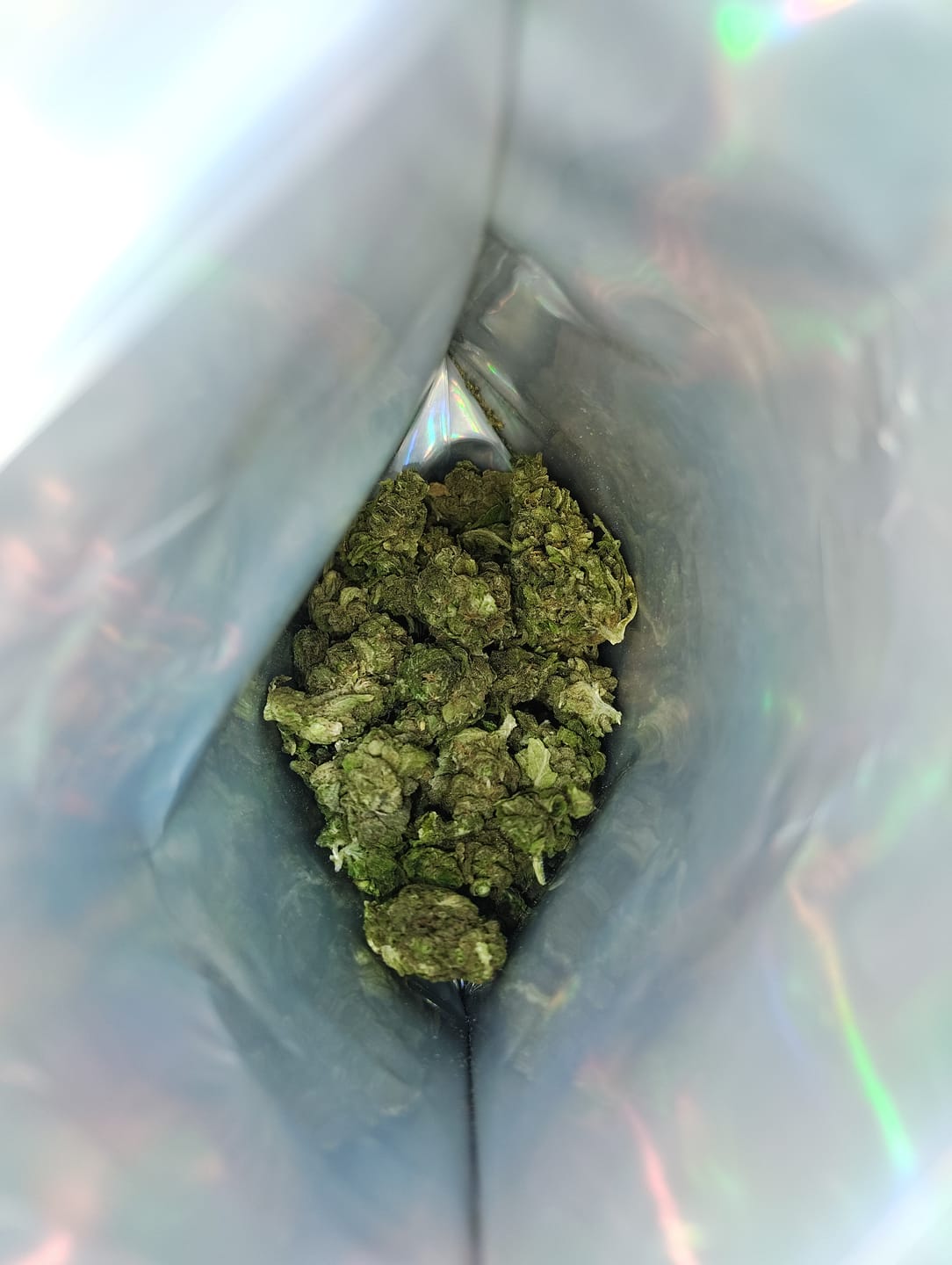 Customer photo review of Super Silver Lemon Haze - Minis - 14 Grams - Sativa
