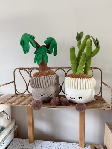 Customer photo review of Greenhouse by Russ 12" Plush Potted Plant - David the Money Tree