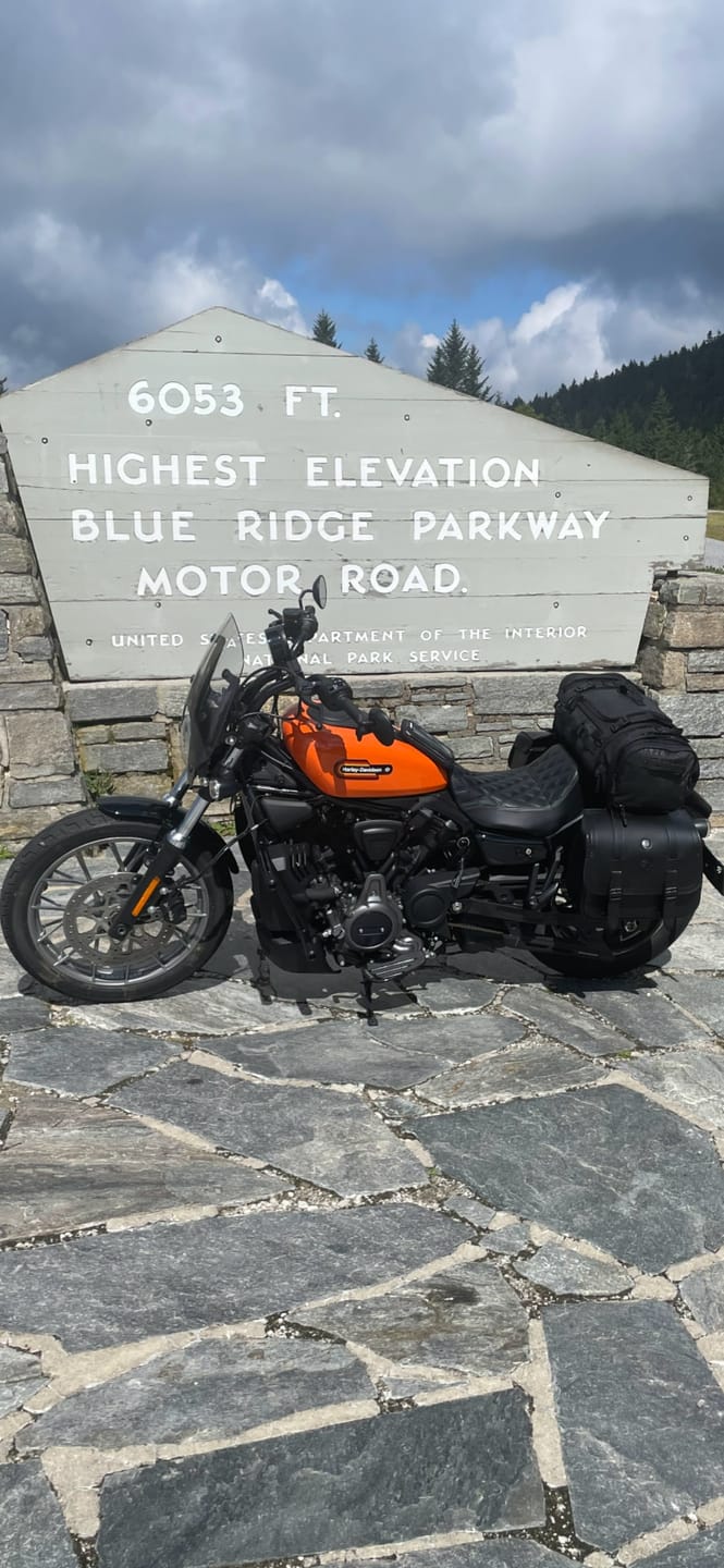 Customer photo review of 14L - Viper Medium Shock Cutout Harley Nightster RH975/S Leather Motorcycle Saddlebags