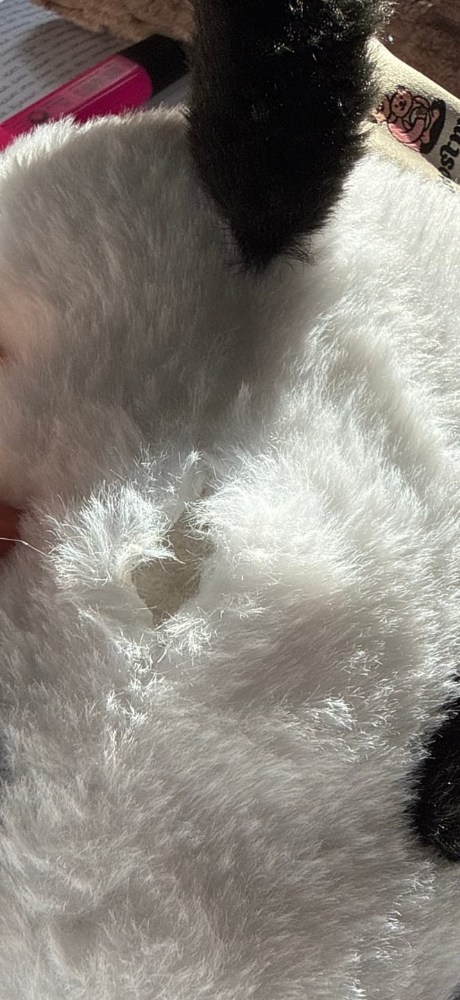 Customer photo review of Verzwaringsknuffel Koe 2,2 kg