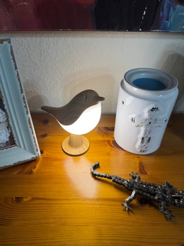 Customer's glowing wood Glow Bird lamp sitting on a wooden table next to a white warmer and metal decor.
