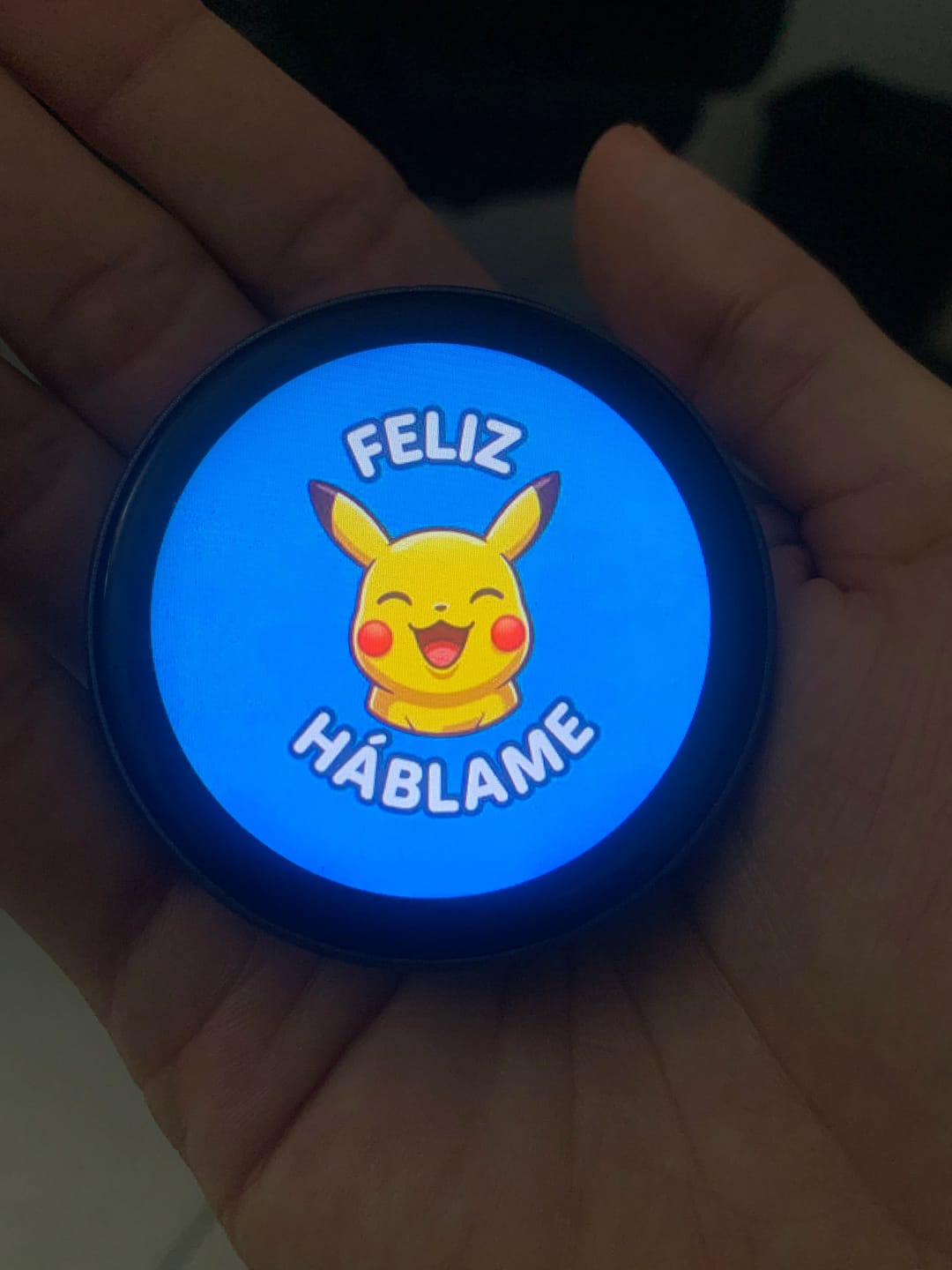Customer photo review of Bit Pin | Poké Mood