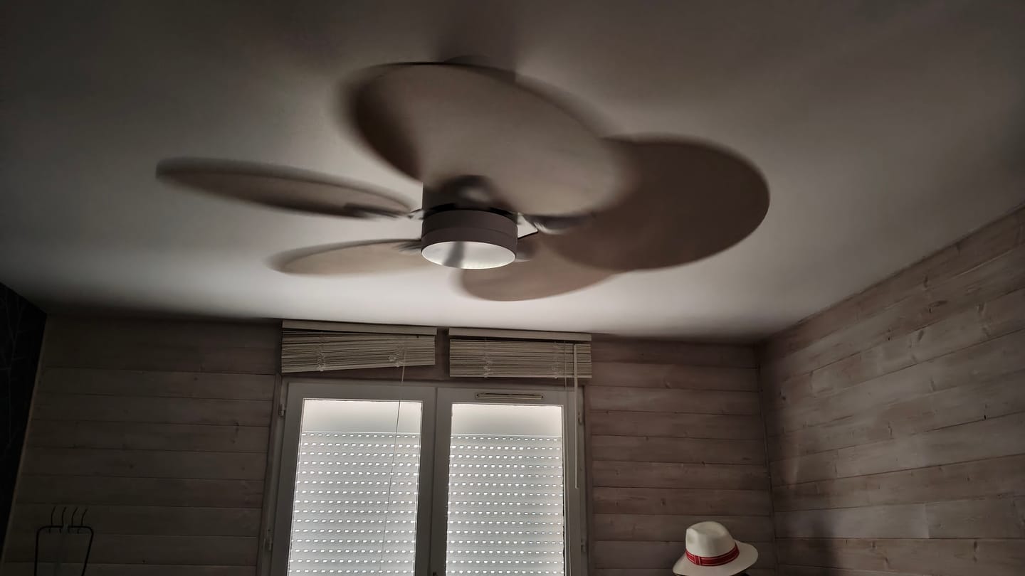 Customer photo review of Lotus | Ventilateur de plafond