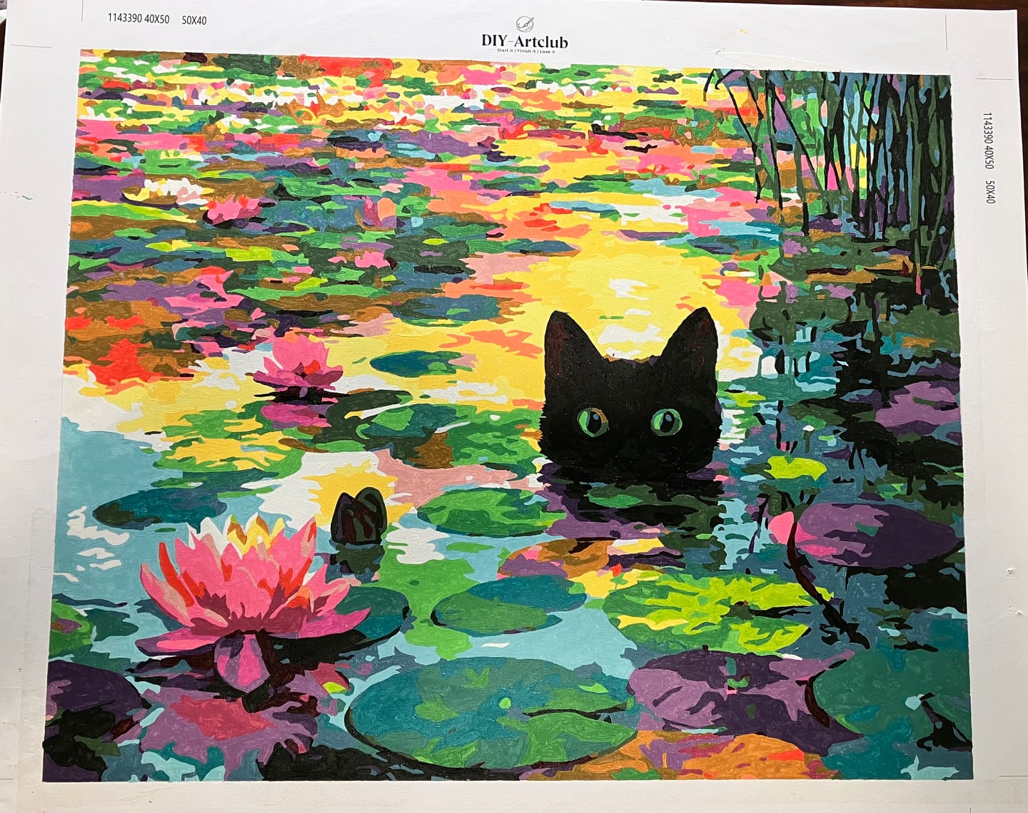 Customer photo review of A Water lilies cat | Paint by Number