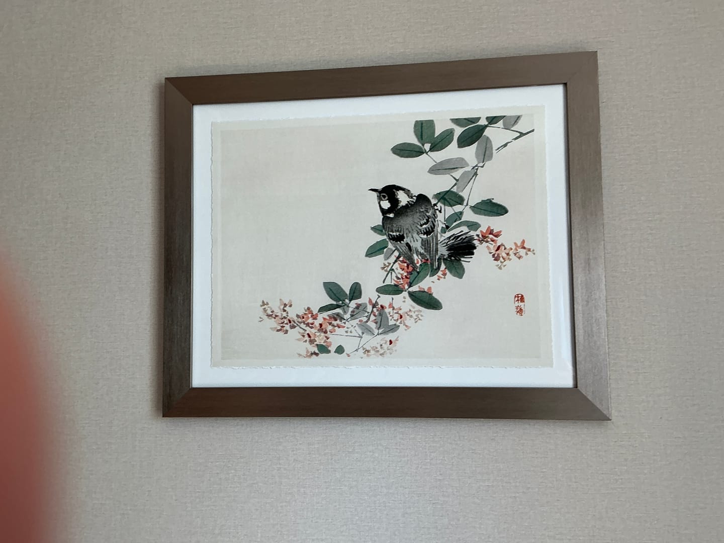 Customer photo review of Songbirds I By Kono Bairei